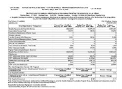 2025-2026 Max Levy Local Government Property Valuation System 1